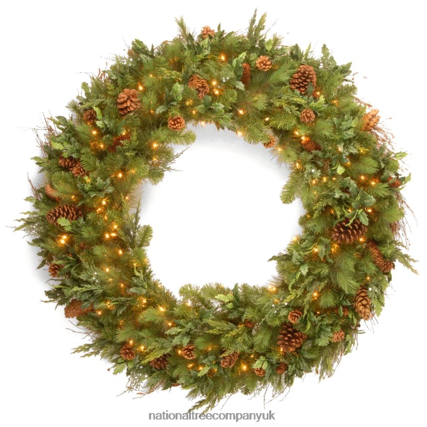 Greenery | National Tree Company Pre-Lit Artificial Christmas Wreath Green Juniper Pine White Lights Decorated with Pine Cones Christmas Collection 48 Inches F2L4F313